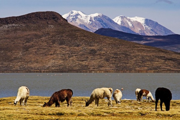 Reserva de Salina Nacional y Agua Blanca
