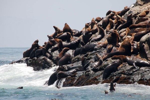 Las islas del callao