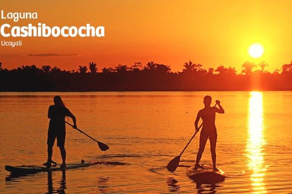 Laguna Cashibococha